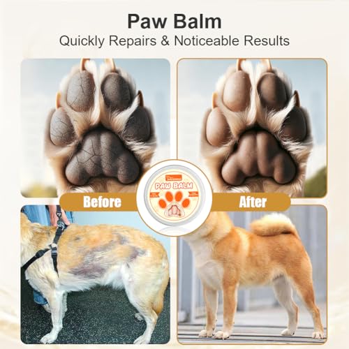 Aomig Pfotenbalsam Hunde Katzen Pfotenpflege mit Natürliche Beruhigende Pfotenschutz Hund Nase Creme Pflegecreme Hundepfoten Rissig Trocken Juckend Empfindlich Wundheilung Schutz Herbst Winter (50g)
