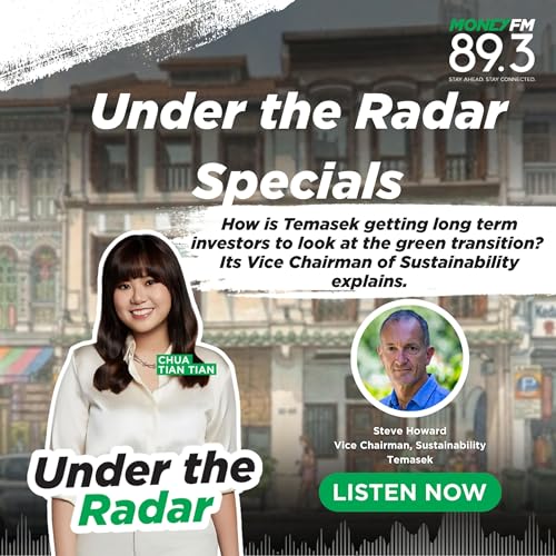 Under the Radar: (SPECIALS) How is Temasek encouraging long term investors to put money into the green transition? Its Vice Chairman of Sustainability explains.