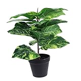 Plantes artificielles : convient pour rebord de fenêtre, bureau, bibliothèque, fenêtre, petite table basse. style pastoral rétro, adapté à une utilisation intérieure extérieure.