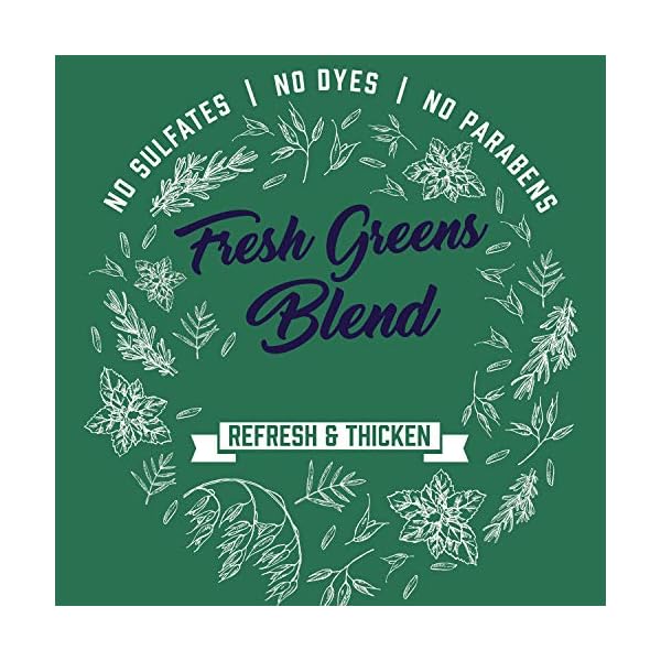 Aveeno-Fresh-Greens-Blend-Sulfate-Free-Conditioner-with-Rosemary-Peppermint-Cucumber-to-Thicken-Nourish-Clarifying-Volumizing-for-Thin-or-Fine-Hair-Paraben-Free-12oz Aveeno Scalp Soothing Fresh Greens Blend Conditioner, peppermint, 12 Fl Oz