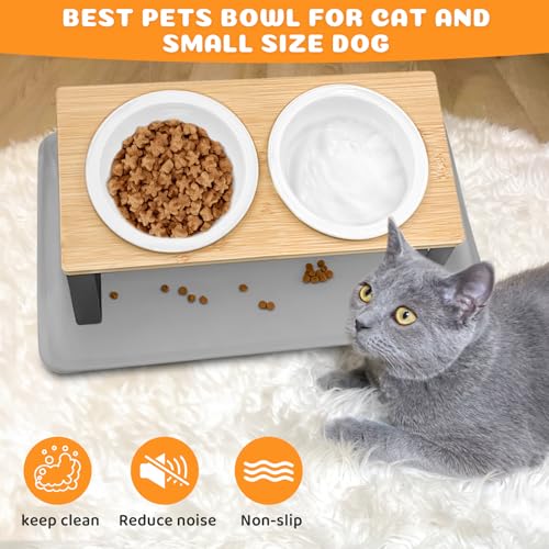 Keramischer Futternapf mit 15° Gekippter Katzenstation, Metallhalter und Silikonunterlage, 350ML Fressnapf und Wassernapf für Katzen und Hunde