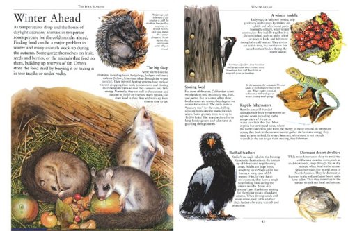 The Four Seasons: Uncovering Nature