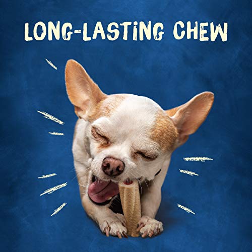Purina Busy Made in USA Facilities Toy Breed Dog Bones, Tiny - 30 ct. Pouch - Image 3