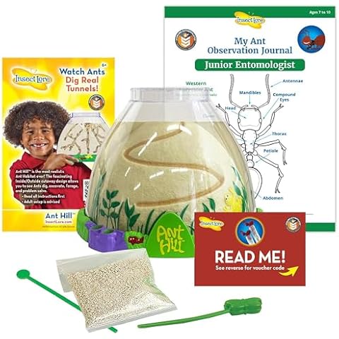Insect Lore Ant Hill | Ant Habitat with Voucher to Redeem Live Western Harvester Ants | STEM Learning and Education Toy Cover