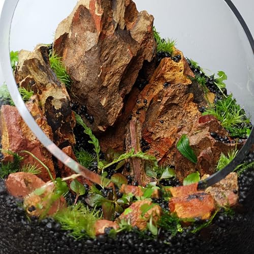 Miniatura 8 de Arka Set Rocas Dragon 5 Kg Myscape Piedras Naturales 10 30 Cm Para Nano Aquascaping Y Paisajes Creativos Aptas Para Acuarios Dulces Pequeños Decoración Plantable Sin Bordes Ni Químicos
