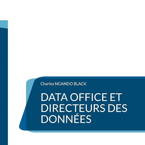 Data Office et Directeurs des Données: Le Guide définitif