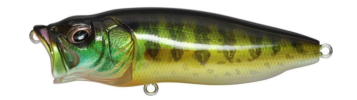 Amazon.co.jp: Megabass PopMax トップウォーター フィッシングルアー