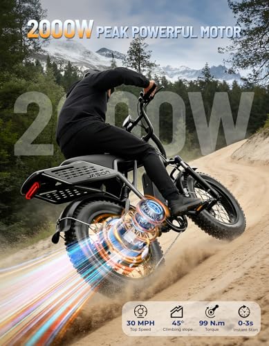 Jasion RetroVolt Electric Dirt Bike