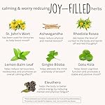 Joy-Filled Mood Support Supplement - 7 Herb Complex w/St. Johns Wort | Stress Relief – Helps Calm The Mind & Body | 100% Plant-Based Happy Pills, Ashwagandha, Rhodiola Rosea | Adaptogens, 60 Ct - Image 4