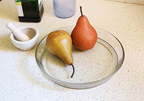 Achla Designs 8 3/4-In Glass Plate, Plant Tray Terrarium Saucer #TOP4