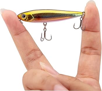 51WDOaLii8L._AC_UF350,