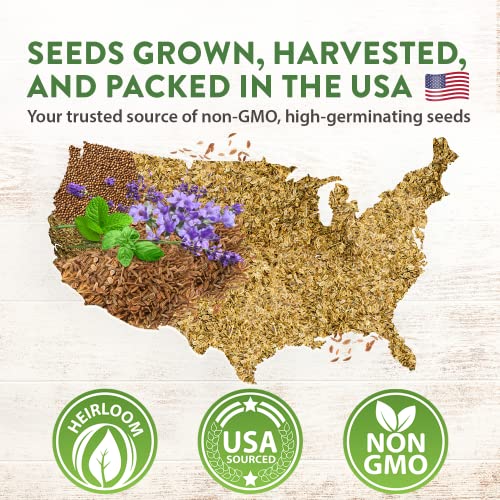 20 Culinary Herb Seed Vault - Heirloom And Non Gmo - Seeds For Planting For Indoor Or Outdoor Herbs Garden, Basil, Cilantro, Parsley, Chives, Lavender, Dill, Marjoram, Mint, Rosemary, Thyme #TOP6