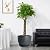 UOUZ 12/10/9 Large Modern Plant Pots, Plastic Planters with Drainage Holes and Saucers for Indoor Outdoor Plants Flowers, Black with Green Speckles
