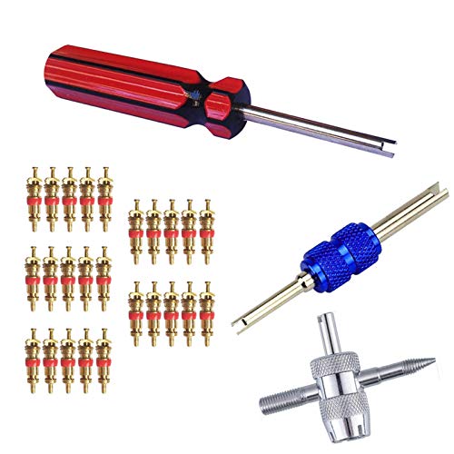 Febrytold 3 Pcs Tire Valve Core Remover Tools with 25 Pcs Brass Valve Stem Cores, 4-Way Valve Stem Core Tool, Dual & Single Head Tire Valve Core Remover Installer Tools