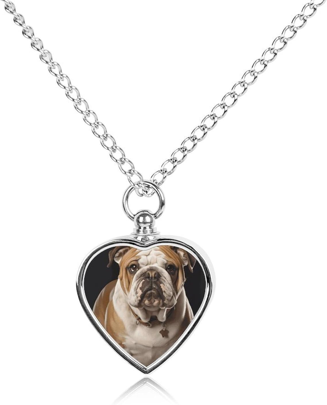 Pet Urn Necklace for Ashes,Pet Cremation Jewelry Urn Keepsake Pendant