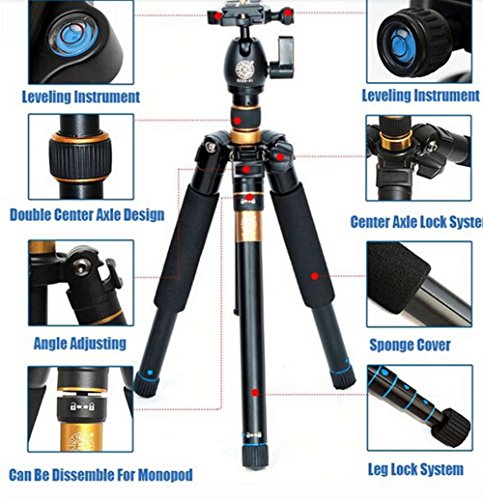 Tripé Monopé Q555 Para Câmera Com Cabeça Profissional