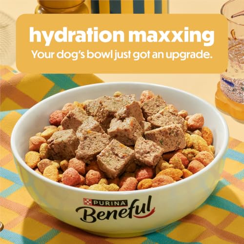 Image of Purina Beneful Protein Gravy Wet Dog Food Variety Pack Freshly Prepared Meals Stew - (Pack of 6) 10 oz. Tubs