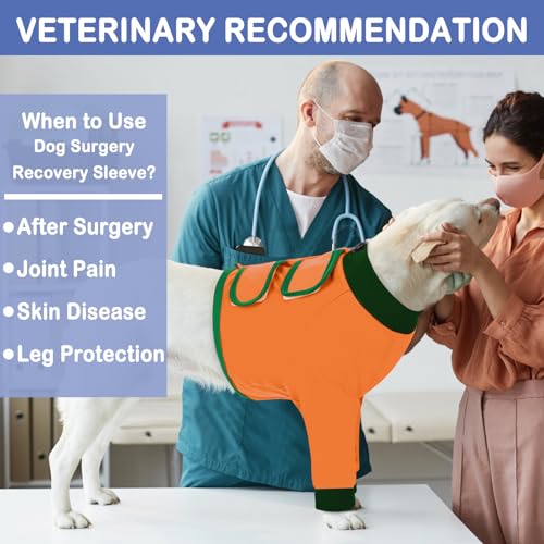 Image of KOESON Dog Recovery Sleeve for Front Legs with 100% Cotton Fabric, Soft & Breathable Dog Surgery Recovery Suit, Adjustable Elbow Protector for Dogs, Pet Long Sleeve Shirt for Front Legs, Orange M