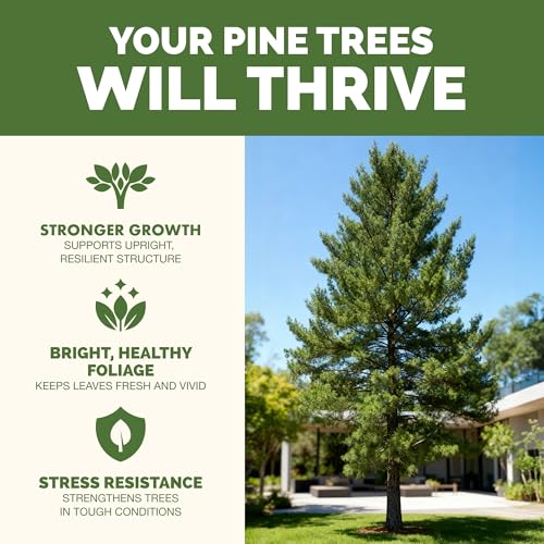 Fertilizante Pine Tree líquido 8 oz para pinos miniatura 2