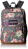 Algopix Similar Product 2 - JanSport Cool Student 15Inch Laptop