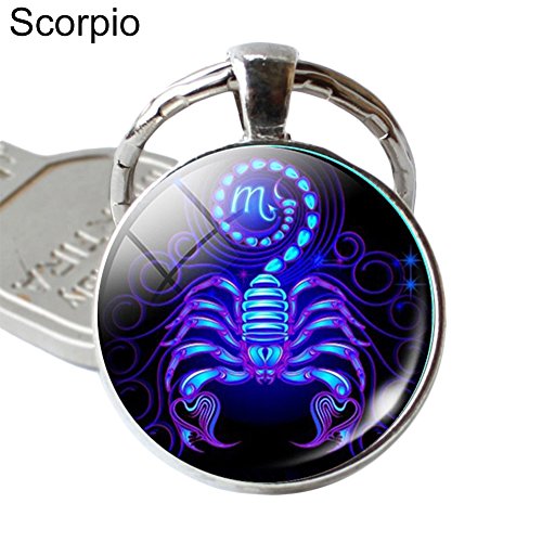 Preisvergleich Produktbild little finger 12 Constellation Sternzeichen Rund Glas Anhänger Schlüssel Ring Halter Schlüsselanhänger Geschenk