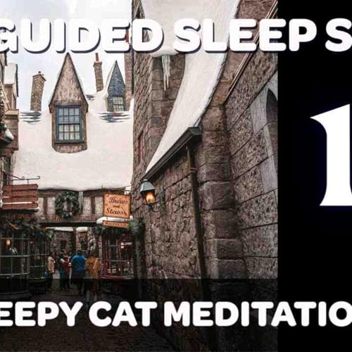 Hogsmeade _ The Sleepy Cat Returns - Harry Potter Inspired Sleep Story (_Yer a Wizard_) Ep 14_16