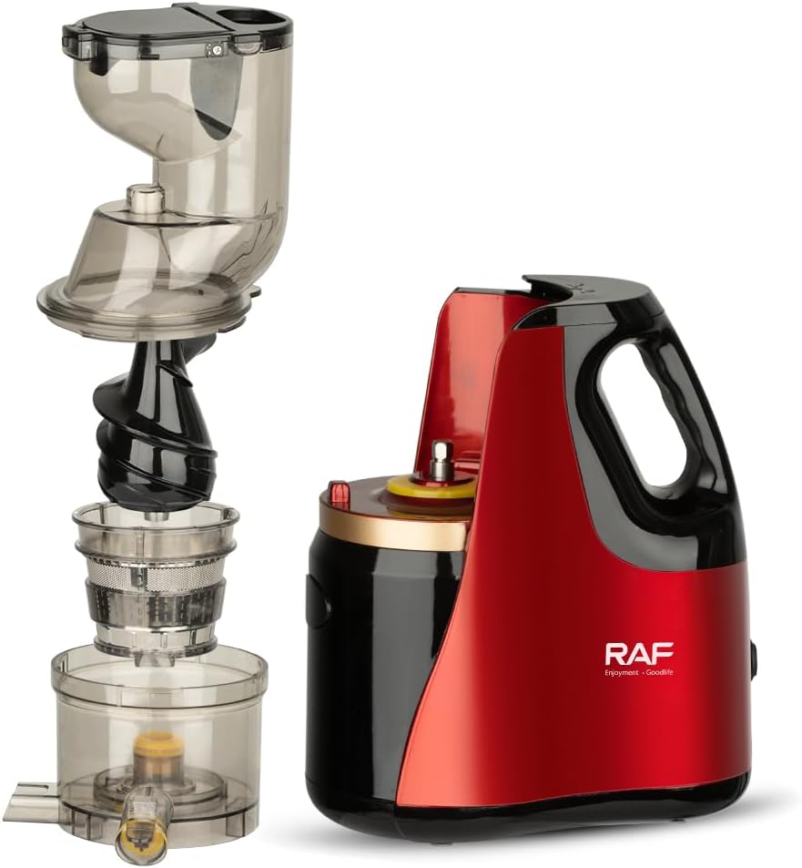 Explotat view of the RAF Slow Juicer R.2831 showing its main components: the motor base, juicing chamber, auger, filter, and feeding chute assembly.