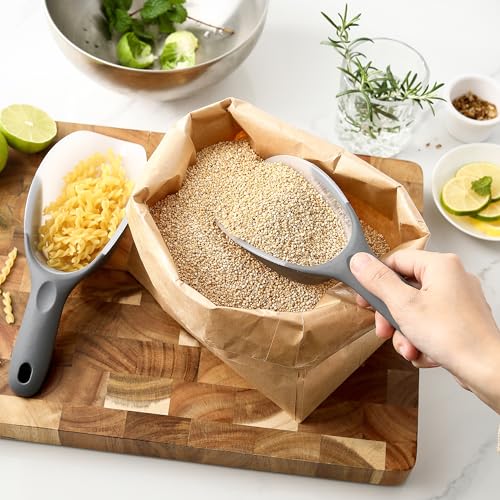 Image of Spring Chef Magnetic Ice Scoop for Freezer, BPA-Free Food Scooper, Gray