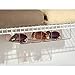 InterDesign Wire Shelving Organizer, Under Shelf Bin - Medium Divided, Clear