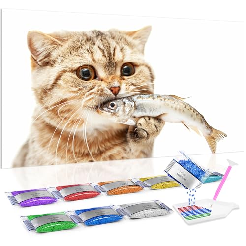 Kit de punto de cruz diamante Jumpdot de 70x40 cm con diseño de gato para salón