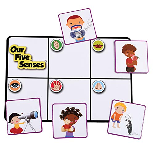 Learning Advantage Juego de los 5 Sentidos para Niños 3+ miniatura 2