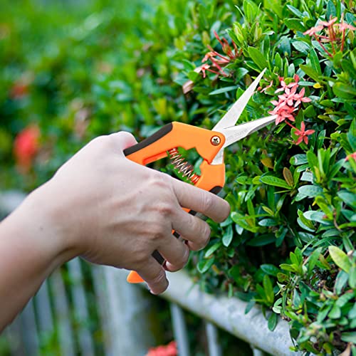 Defutay Gardening Scissors, Hand Pruner,Pruning Shears Set For Flowers, Potting,House Plants #TOP4