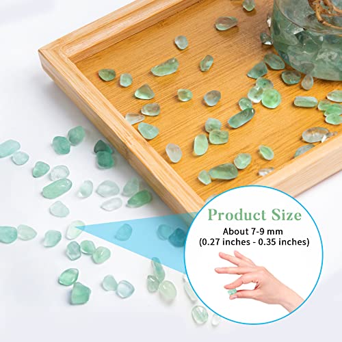 Image of QICQDRAM Natural Green Flourite Crystals Bulk 0.9 Lb /405g Small Tumbled Chips Crystal Stone Decorative Pebbles for Home Decoration & Fish Turtle Tank, Vase Filler, Plants Decor