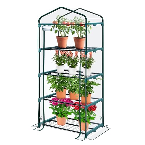 KANWOD KGAGH-1550 Serre de Jardin avec 4 étagères, avec Porte Enroulable, Transparente, Stable et Facile à Monter, Serre d'hivernage pour Balcon, terrasse...