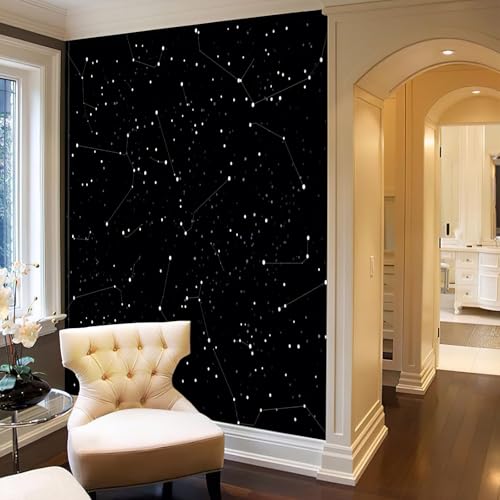Papier Peint Panoramique Encre Noire 300X210Cm Constellations