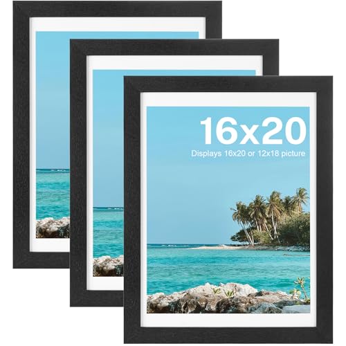 Image of HOUSE DAY 3 Pack 16x20 Poster Frame Wood and Polished Plexiglass, 16 x 20 Picture Frame Black without Mat or 12x18 with Mat, Horizontal or Vertical Wall Mounting 16x20 Poster Frames for Large Size Picture