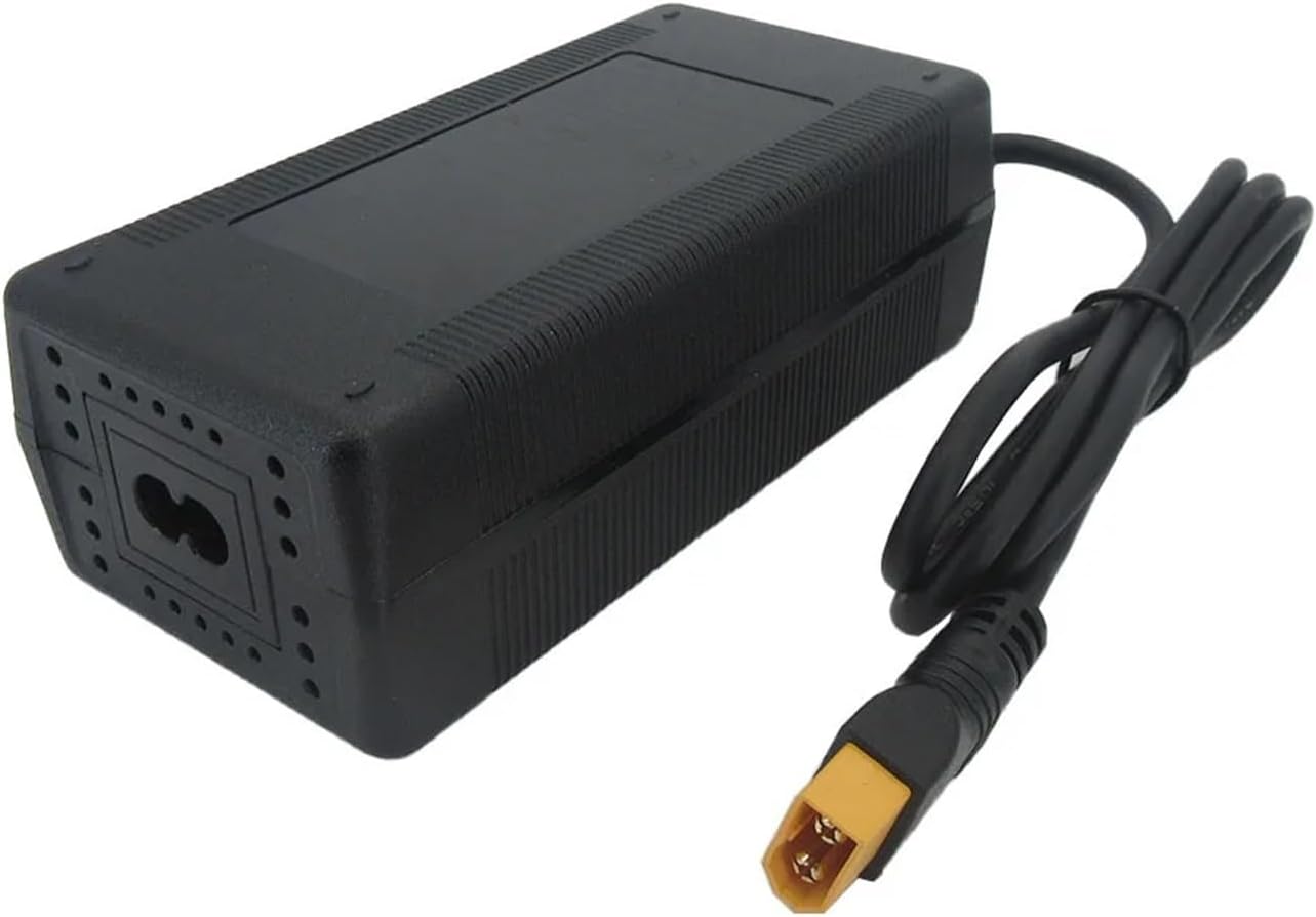 25.2V 5A Lithium Charger DC XT60 Connector Compatible with 22.2V 21.6V 6S Li-ion Battery Charger with Fan(DC)
