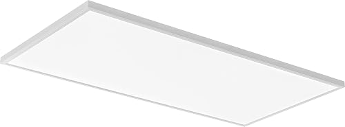 Lithonia Lighting 2x4 LED Flat Panel Light, 4000 Lumens, 3-CCT
