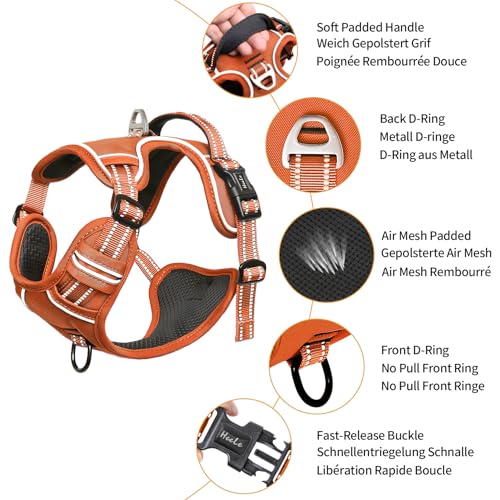 Image of HEELE Dog Harness for Medium Dogs No Pull Dog Vest Harness with Soft Padded Handle Reflective for Outdoor Training, Pumpkin Orange, M