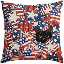 AVOIN colorlife 4th of July Patriotic Stars Black Cat Throw Pillow Cover, 18 x 18 Inch Independence Day Memorial Day America Flag Decor Cushion Case for Sofa Couch