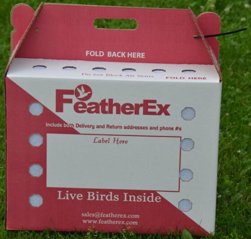 2 Pack FeatherEx Premier Shipping Boxes