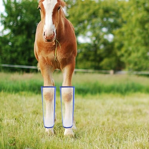 Protectores de patas para caballo de malla transpirable juego de 4 piezas azul para pastoreo 8