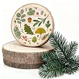 Rodajas de Madera Natural 4 Piezas, Pintura y Pirograbador