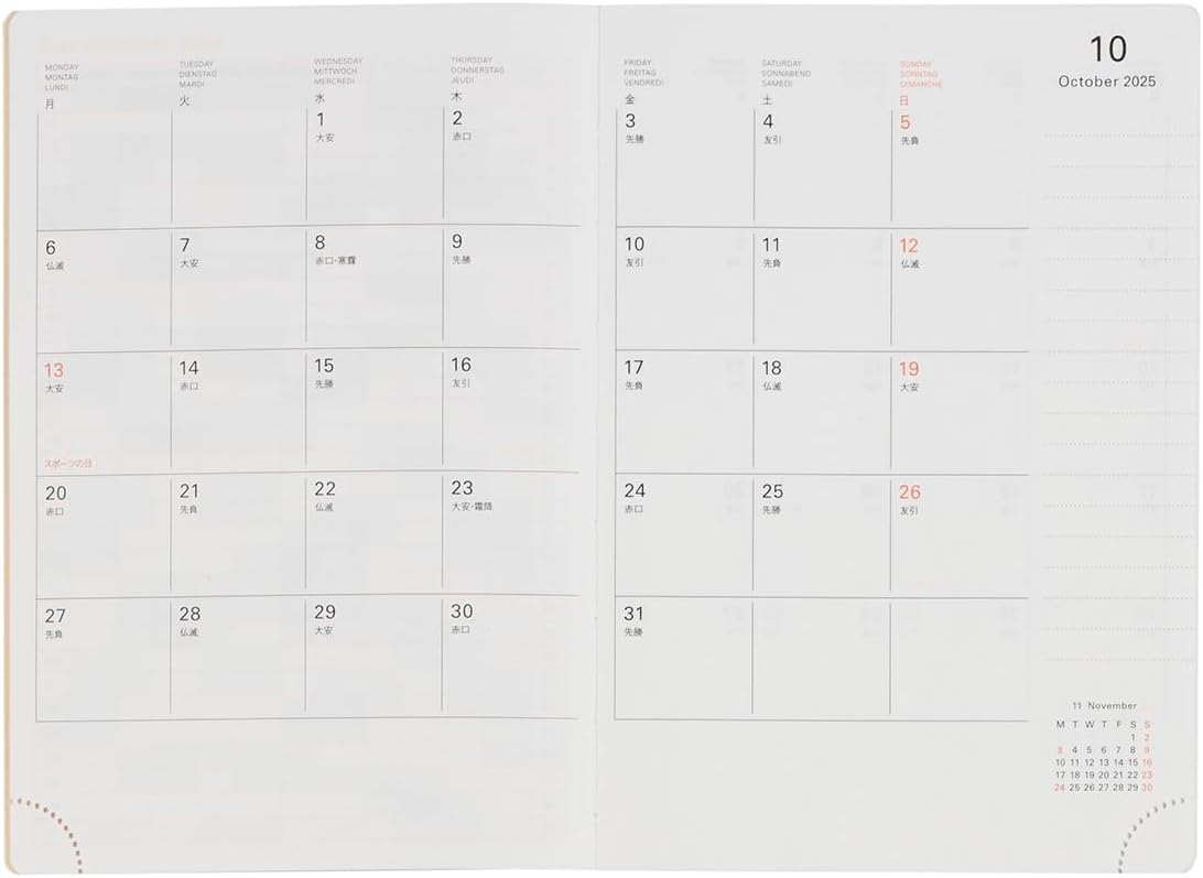Delphonics 2026 / Starts October 2025 A6 Poan Schedule Book, Weekly (Red)