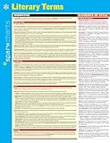 Literary Terms SparkCharts