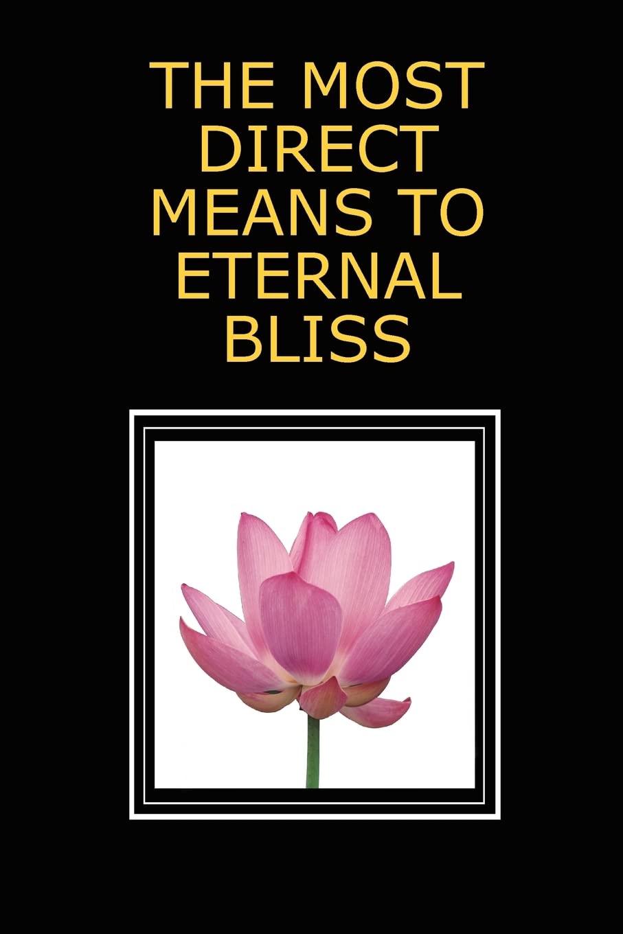 Buy The Most Direct Means to Eternal Bliss — BookShops.in