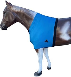 Horse Lycra Shoulder Guard | Premium 4-Way Lycra Chest Guard (Medium_Horse, Teal)