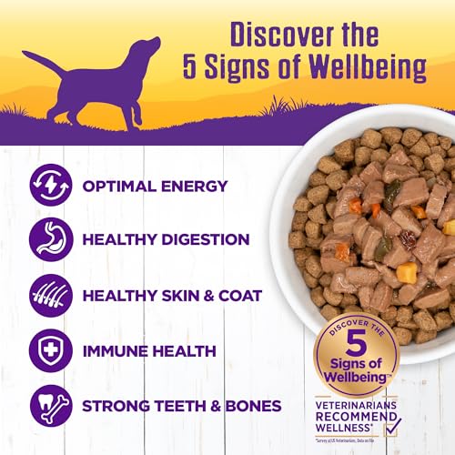 Image of Wellness Complete Health Stew Adult Canned Wet Dog Food, Grain Free, Natural, Turkey and Duck Recipe, 12.5 oz, Pack of 12 Cans