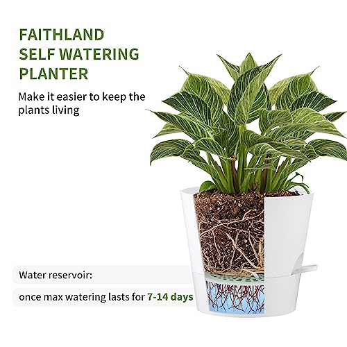 FaithLand - 2er-Pack Blumentöpfe, 25,4 cm, für Zimmerpflanzen und Außenbereich, Selbstbewässernde Blumentöpfe mit tiefem Wasserspeicher… – Ansicht 3