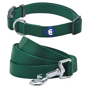 Blueberry Pet Essentials Matching Dog...